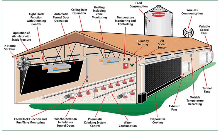 Layer chicken house steel structure poultry farm building