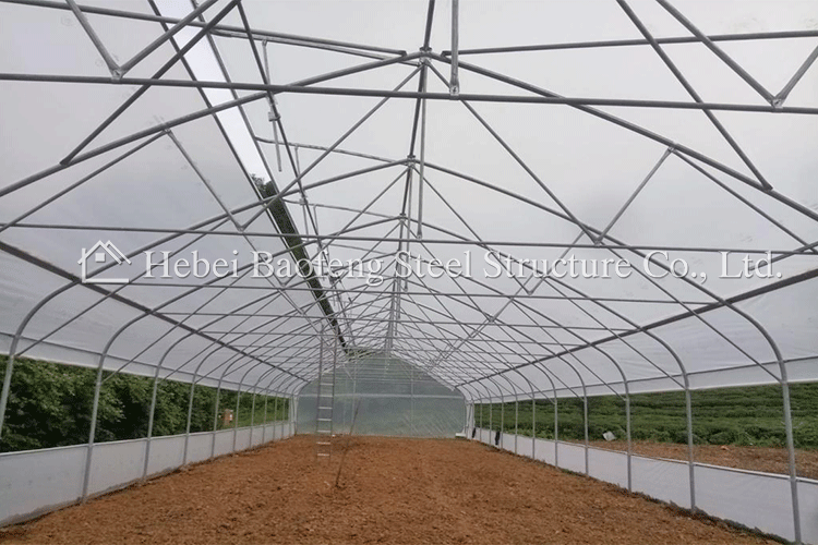 single-layer film greenhouses