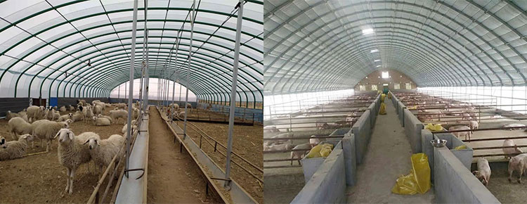 breeding shed supplier