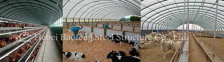 chicken poultry house supplier