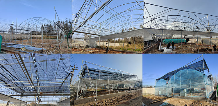 Multi-span film greenhouses