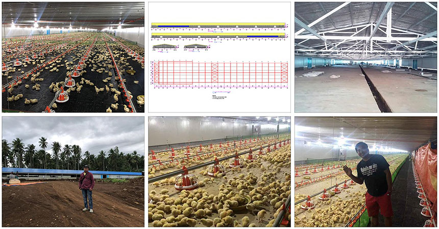 Steel structure chicken house