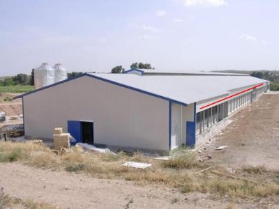 steel structure chicken house