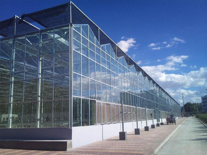 Vegetable cultivation glass greenhouse