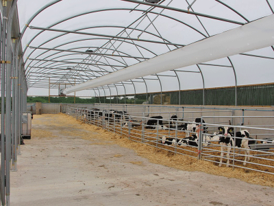 steel shed building