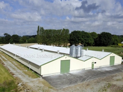 steel structure chicken house