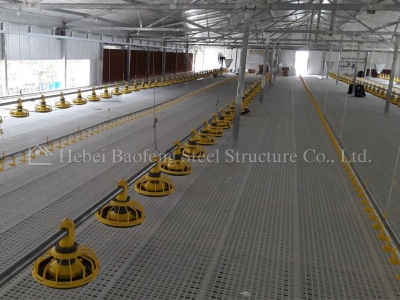 steel structure chicken house