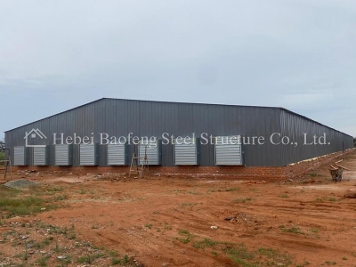 steel structure chicken house