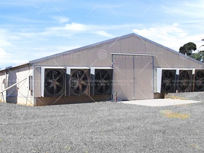 steel structure chicken house