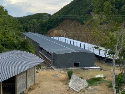 steel structure chicken house