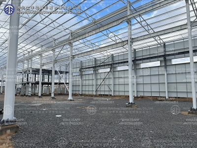 steel structure building