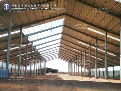 steel structure building