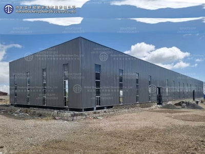 steel structure building