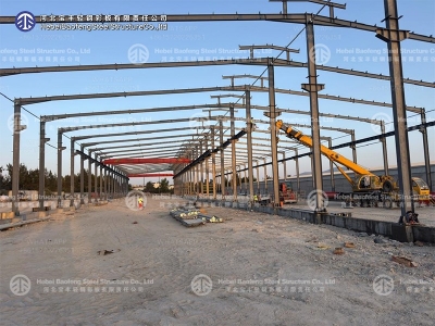 steel structure building