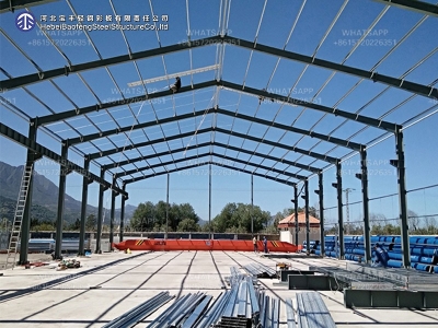 steel structure building