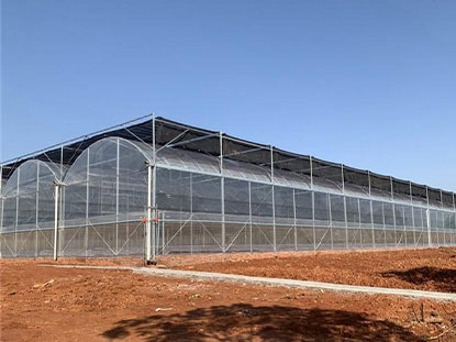 Steel structure multi-span film greenhouse