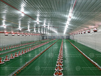 Why Choose Steel Structure Buildings for Poultry House?