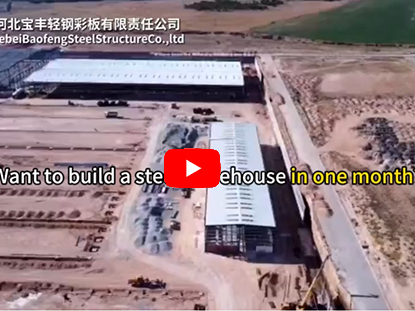  Build Steel Structure Warehouse