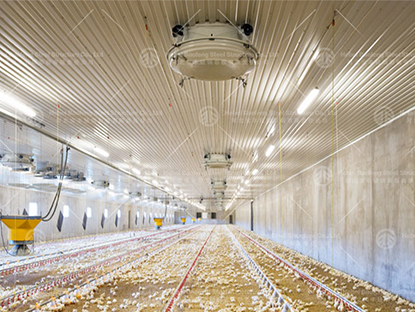 Key Features Of Steel Structure Chicken Houses