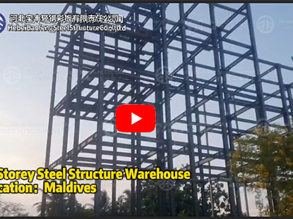 4-Storey Steel Structure Warehouse