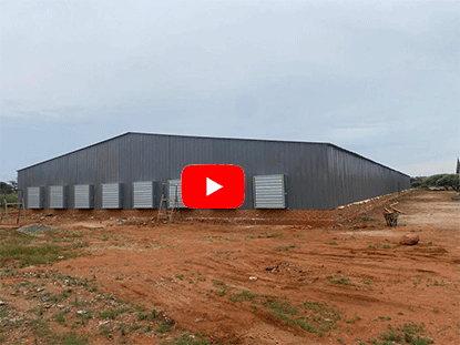 South African steel structure chicken house