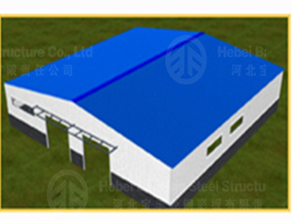 Steel Structure Building Installation