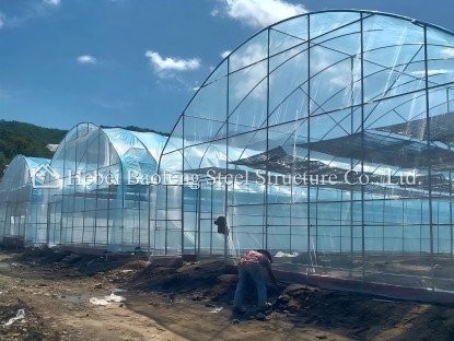 Steel Frame Film Greenhouse in Cambodia