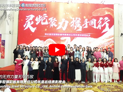 Baofeng Annual Summary Gala