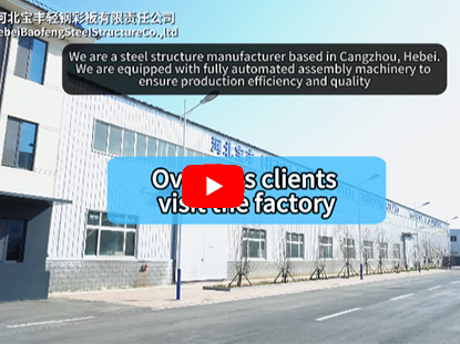 Overseas clients visit the factory