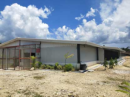 Philippine steel structure chicken house farm