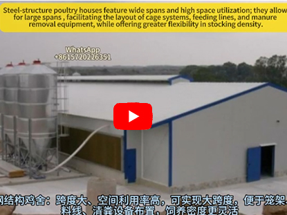 Advantages of Steel-Structure Poultry Houses